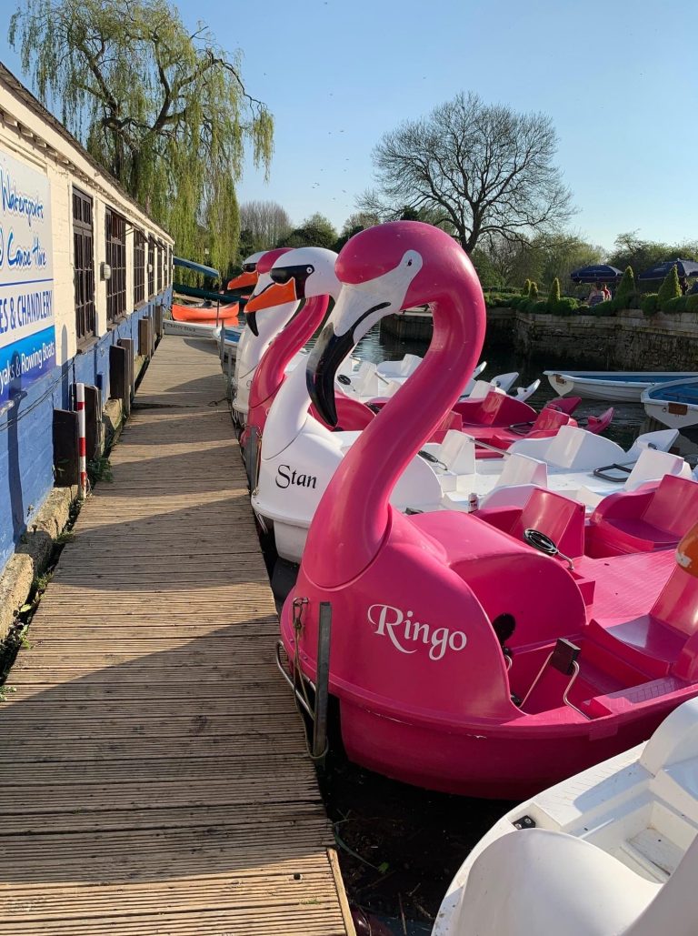 Pedalos 768x1029